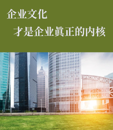 陆用柴油发电机组项目实施方案及现场注意事项说明